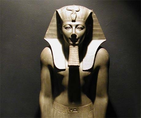 Image Image